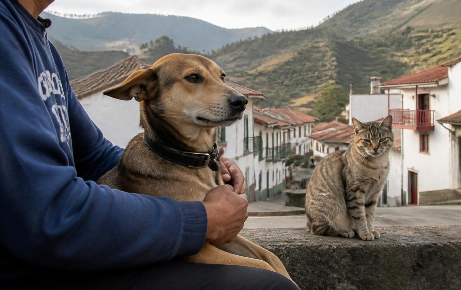 Persona sosteniendo un perro junto a un gato en un pueblo de montaña en Colombia